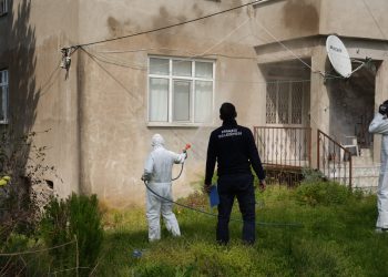 Piraziz’de Kahverengi Kokarca ile Mücadele